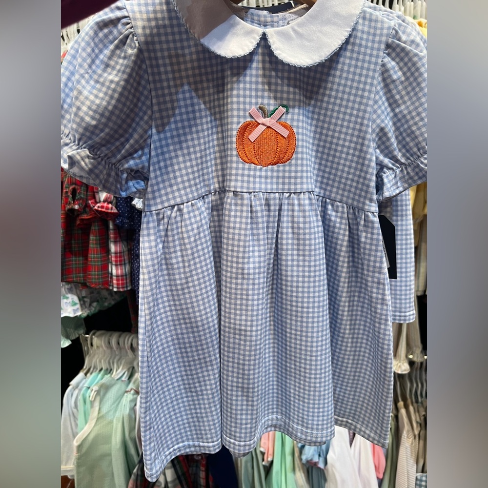 NWOT Blue Gingham Pumpkin Appliqué Kids Dress